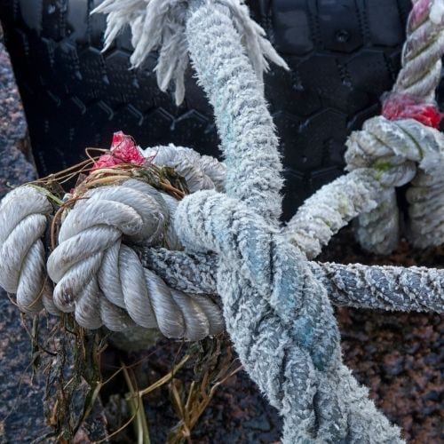 10 Best Team Building Activities For The Workplace Image of a knot for the Human Knot team building game.
