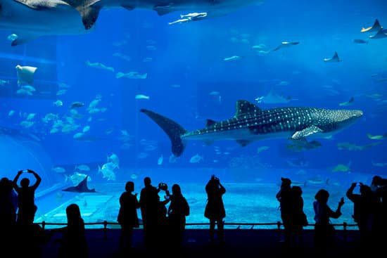 10 Best Team Building Activities For The Workplace Image of a shark tank for this team building activity.