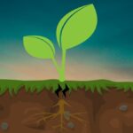 4 Root Cause Analysis Tools for Effective Problem Solving