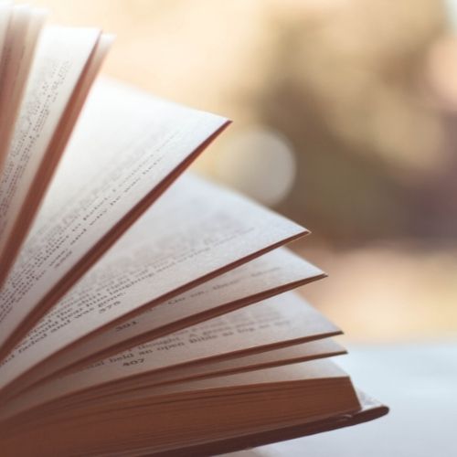 The Definitive Guide On How To Improve Problem Solving Skills Image of a book.