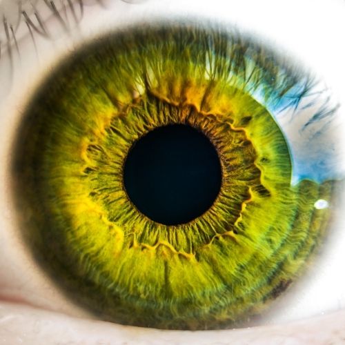 How To Break Bad Habits And Replace Them With Good Habits Image of an eye.