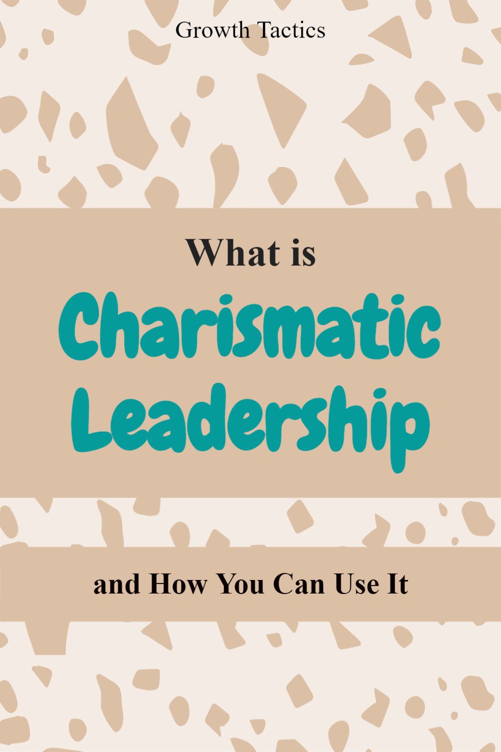 What Is Charismatic Leadership And How You Can Use It What Is Charismatic Leadership and How You Can Use It