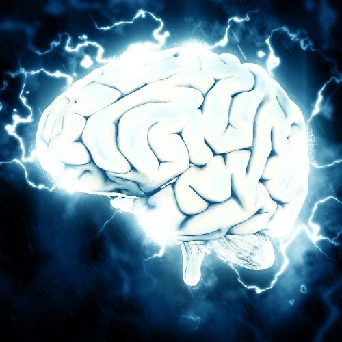 Image of a brain.