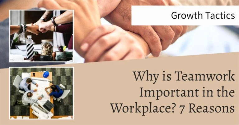 Why is Teamwork Important in the Workplace? 7 Reasons