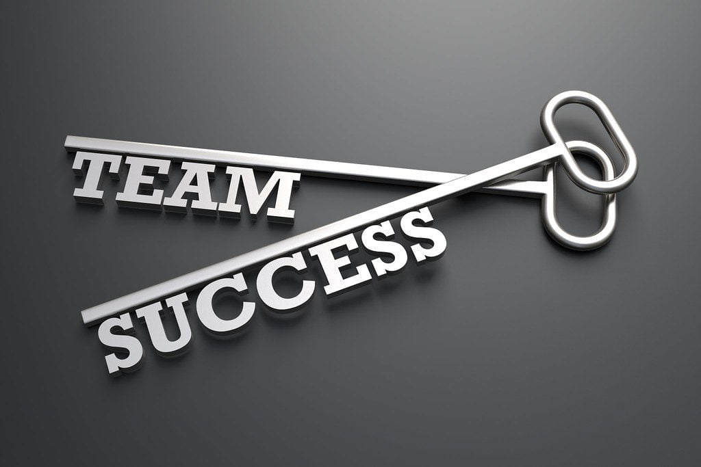 Building Team Cohesion: 12 Proven Strategies for Success Team Success