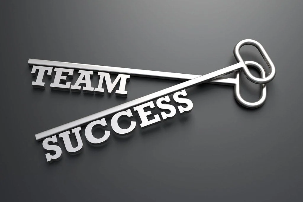 Building Team Cohesion: 12 Proven Strategies for Success Team Success