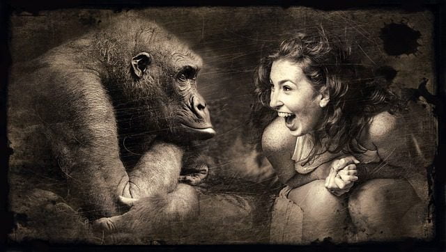 gorilla making a lady smile