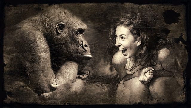 How to Be More Charismatic (21 Surefire Ways) gorilla making a lady smile