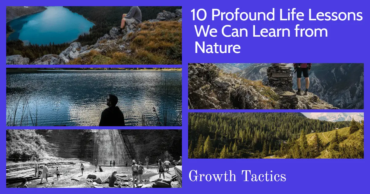 10 Profound Life Lessons We Can Learn from Nature