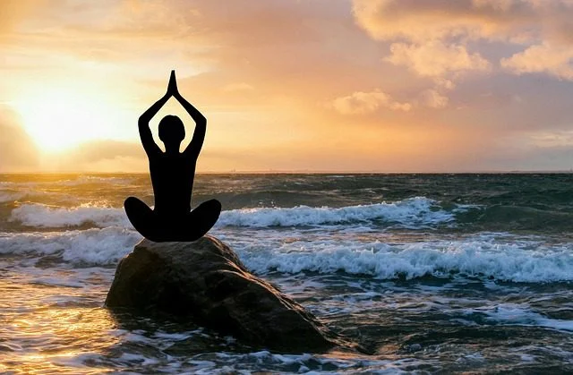 Unleashing the High Performance Mindset: Transform Your Life high performance mindset