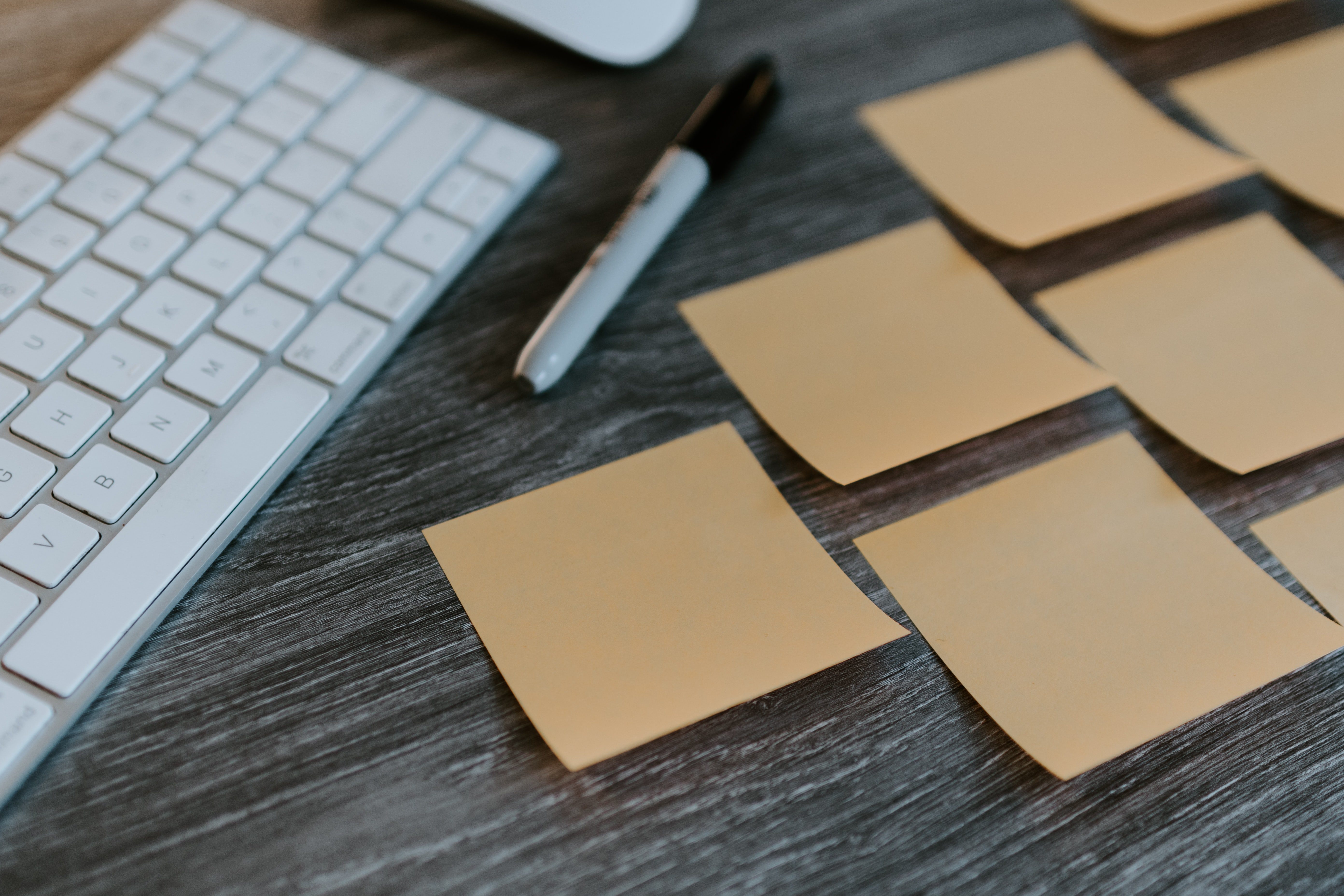 Self-Directed Learning Strategies: Learn on Your Own Terms self-directed learning strategies