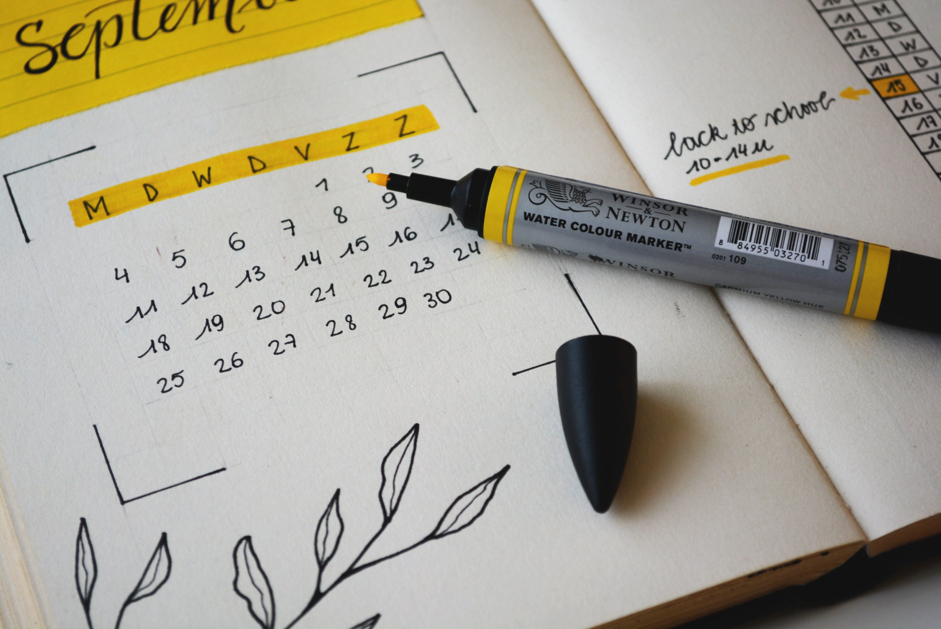 24 Productivity Apps to Enhance Focus and Organization productivity apps