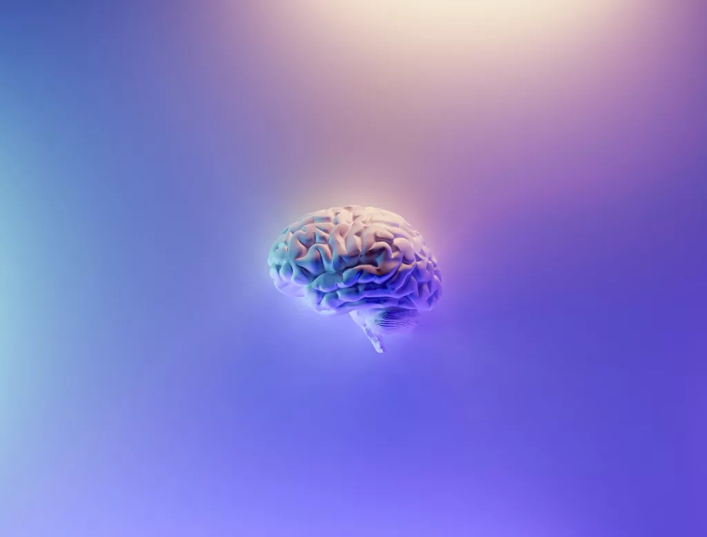 The Power of Brain Dumping for Mental Clarity benefits of brain dumping. Image of a brain.