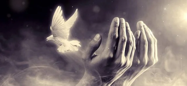 Empathy vs Sympathy: Exploring the Difference with Examples 2 hands out with a white bird flying out of them for sympathy vs empathy