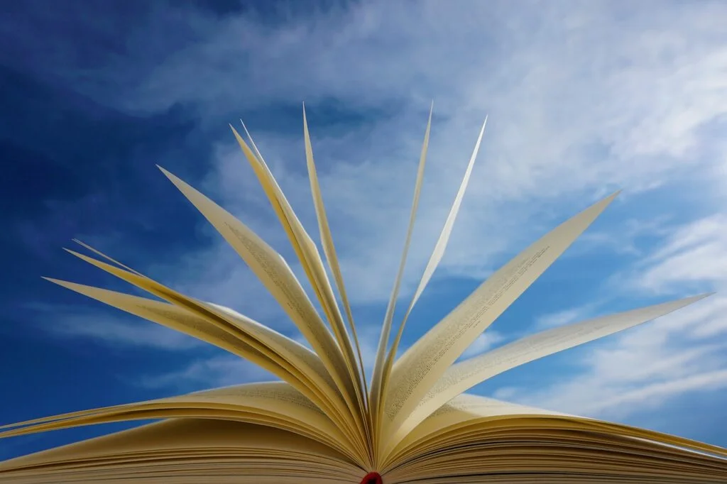 Understanding Directive Leadership Style and When to Use It a book, pages, read