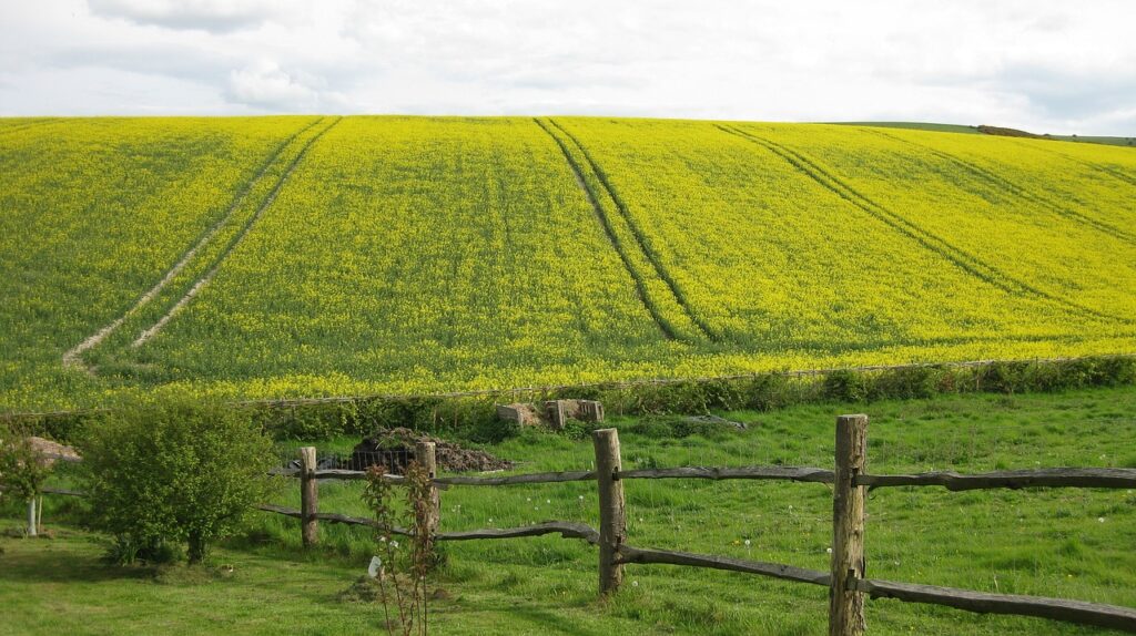 30 Time Management Techniques for Work-Life Harmony agriculture, field, farm