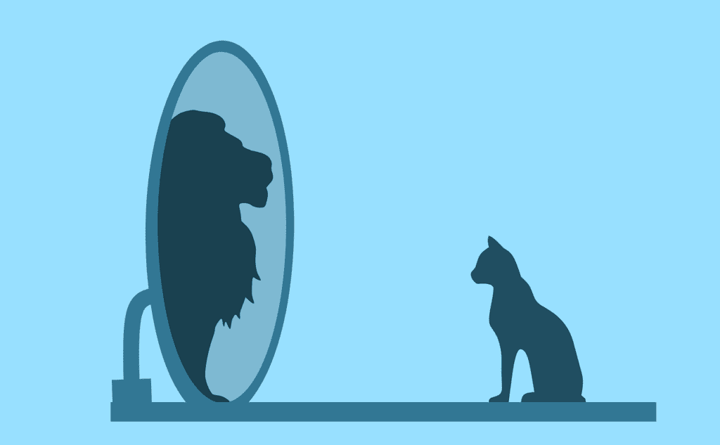 15 Signs of High Self-Esteem and How to Achieve It cat looking into a mirror and seeing a lion representing confidence which is one of the signs of high self-esteem.