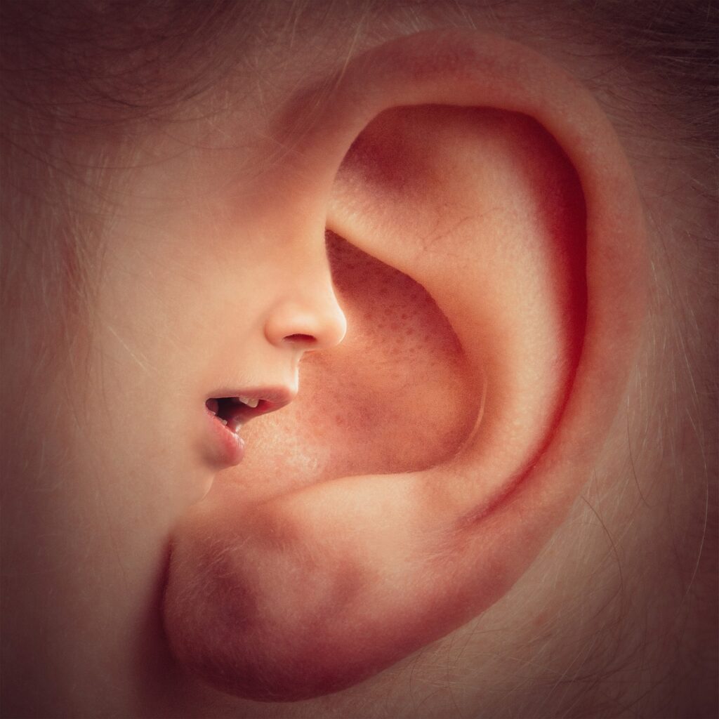 Interpersonal Communication Models to Boost Your Skills ear, mouth, nose
