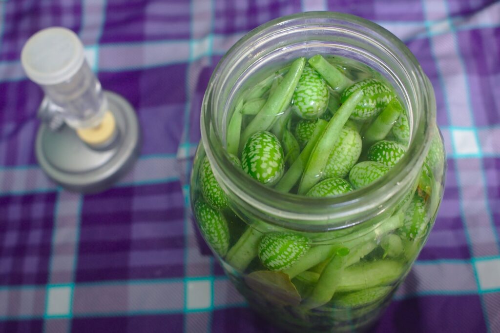 The Pickle Jar Theory: A Crucial Time Management Technique a jar full of vegetables for the pickle jar theory
