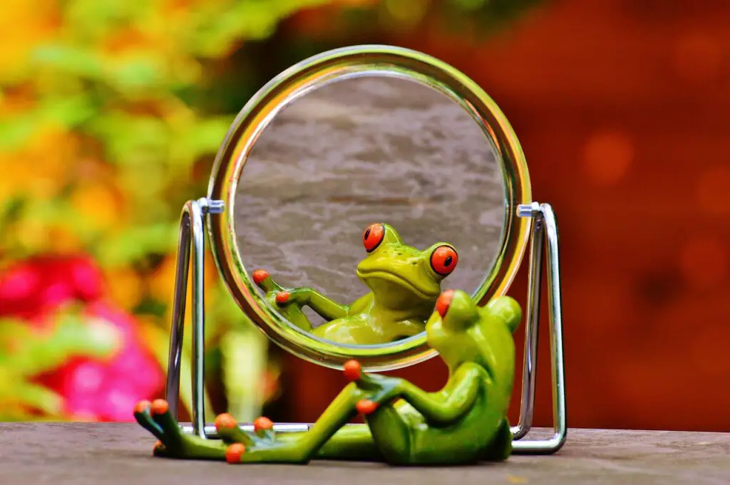 frog, mirrors, mirror image
