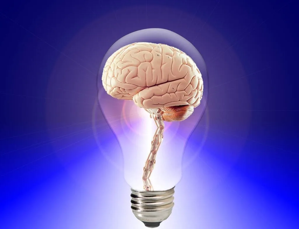 20 Easy and Fun Brainstorming Activities for Team Building brain, think, human